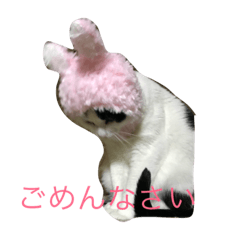 neko08888