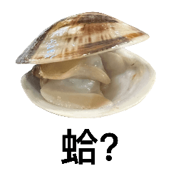 good good clams