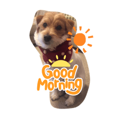 yukari_20220426131812