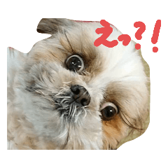 ai_20220426184321