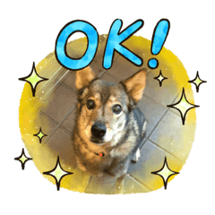 himawari_20220426192502