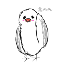 Akari_20220426192526