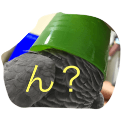 youmu   no   himedori