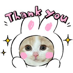 asako_20220426155543