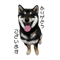 JinJin_20220426194609