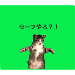 mugitabi