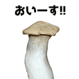 Moving mushroom