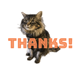 CHERRY_20220426204304