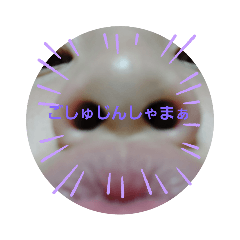 jin_2022120400