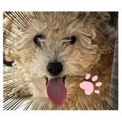 suzu_20220426225444