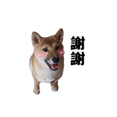 哈吉與他主人的貼圖1