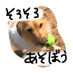 Bell & Chevy & Ainyan
