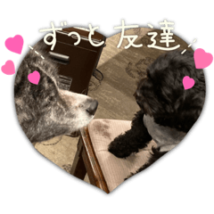 akiko_20220427135433