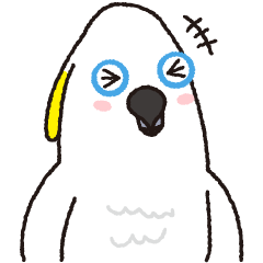 藍眼巴丹鸚鵡 ： 致敬篇