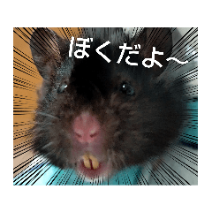 KAORI_20220427152019
