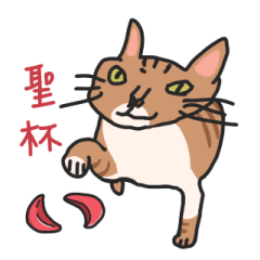 The kuso orange cat