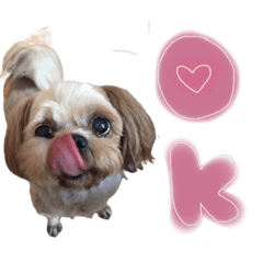 Arisa_20220427153324