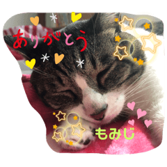 kaori_20220427162741