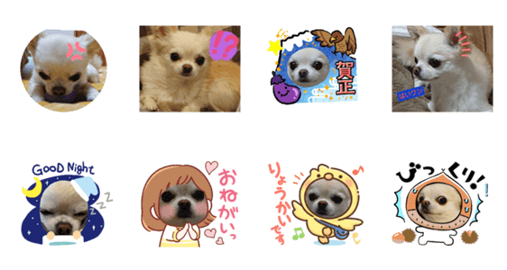 可愛すぎる犬のスタンプ Lineクリエイターズスタンプ Stamplist