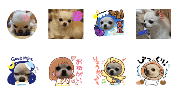 可愛すぎる犬のスタンプ Lineクリエイターズスタンプ Stamplist 可愛すぎる犬のスタンプ Lineクリエイターズスタンプ Stamplist