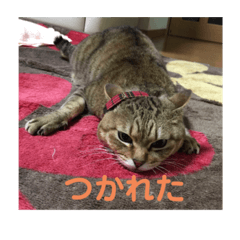 kuu_20220427203008