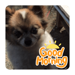 momoko_20220427182851