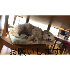 yuto_20220427211916