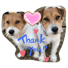 yukari_20220428114524