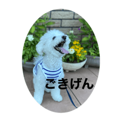 Risa_20220428110517