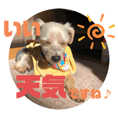 AKARI_20220428010252