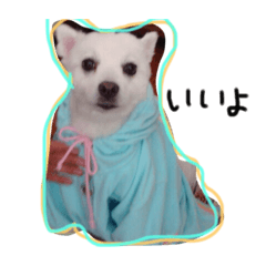 nakaff