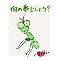 praying mantis