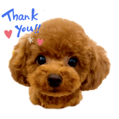 Yuka_20220428120658