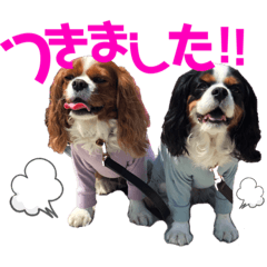 KAORI_20220428123513