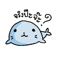 Cute seal or stupid seal ?