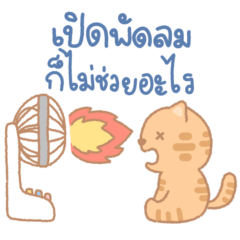 Summer with three colored cats