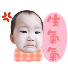 詹董貼圖2