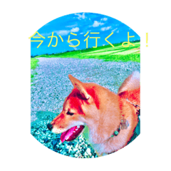 abcdefg_20220428162527