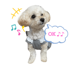 cherry_20220428163300