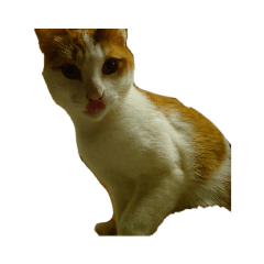 345_20220428164201