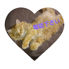 saori_20220428181948