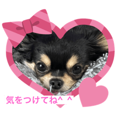 himawari_20220428073509