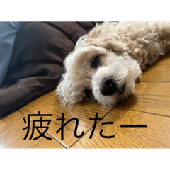 yuto_20220428222838