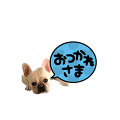 hana_20220428223801