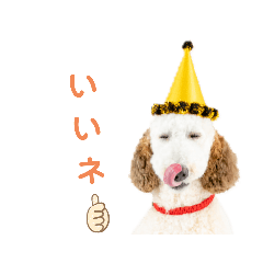 AI_20220428235414