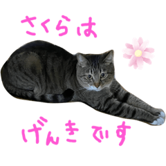 yukari_20220428220729