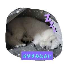 miki_20220429032206