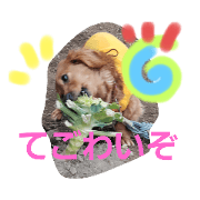 Miyako_20220428225223
