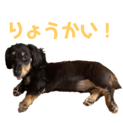 napi_20220428235059