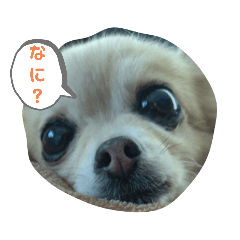 hana_20220429000046